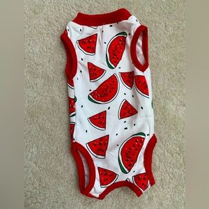 Kitten recovery suit NWOT